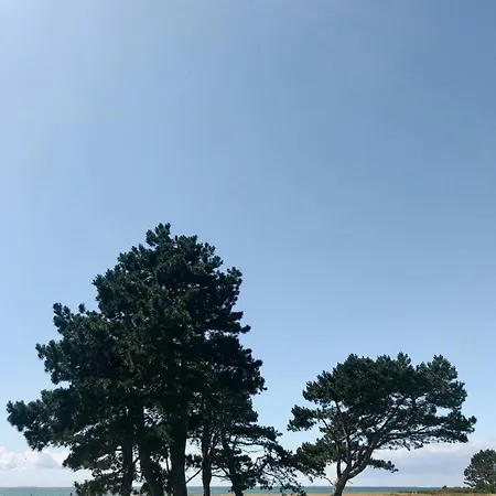 Unpretentious Idyll On Nature-rich Sjaellands Odde Ferienhaus